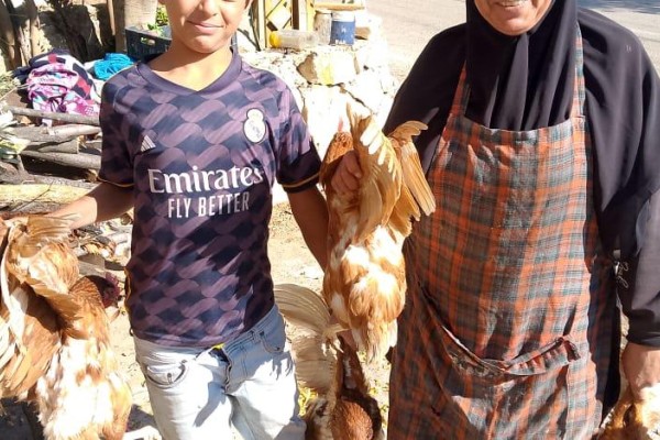 The Hen that Brought Back Hope